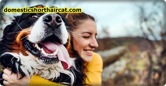 pros-and-cons-of-being-a-guardian-dog-owner-6 Pros and Cons Of Being a Guardian Dog Owner pros-and-cons-of-being-a-guardian-dog-owner-6 Pros and Cons Of Being a Guardian Dog Owner